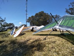 The Corryong Cup 2019